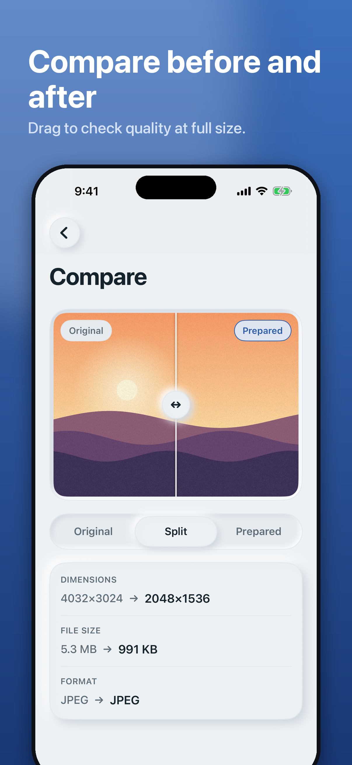 ExactSize before and after comparison screen